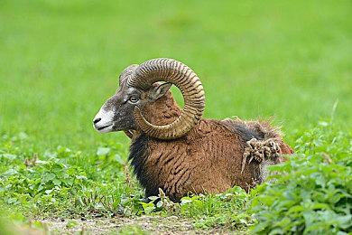 《绝地潜兵2》开发商目标：运营最好的实时服务游戏