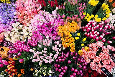 类魂卡牌构筑游戏《死亡呼啸》Steam页面 支持简体中文